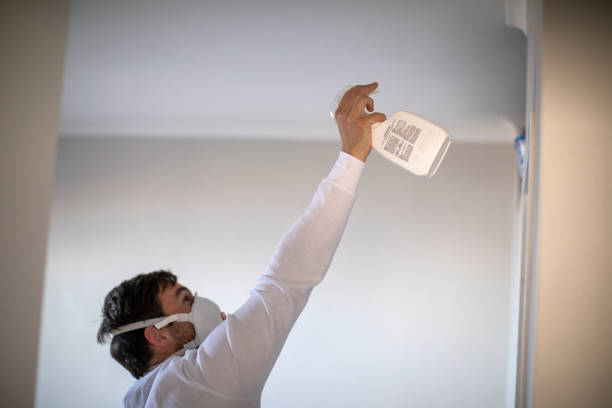 Best Crawl Space Mold Removal  in Hainesvle, IL